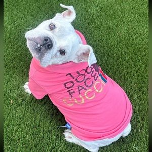 The Dog Face x Gucci the North Face dog cat hoodie clothing sweatshirt